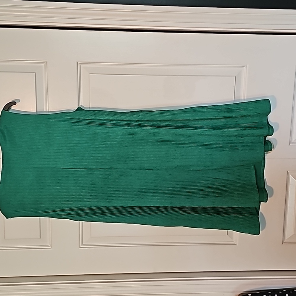 Nina Leonard Green sleeveless swing dress , like new XL - Picture 4 of 4
